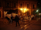 Erica And Carriage In Sevilla 1